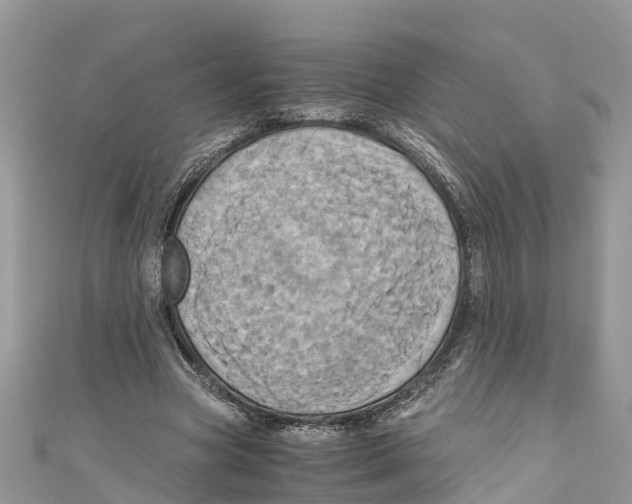 X0000110990537200907171754