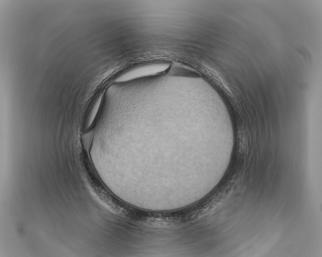 X0000110990538200907171754
