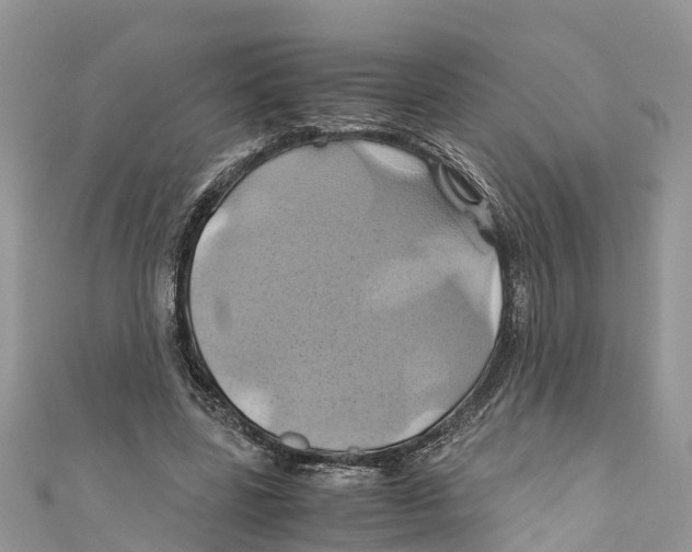 X0000110990539200907171754