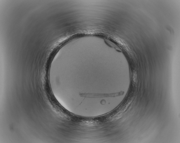 X0000110990540200907171754