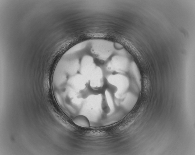 X0000110990541200907171754
