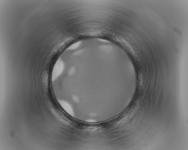 X0000110990542200907171754