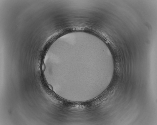 X0000110990543200907171754