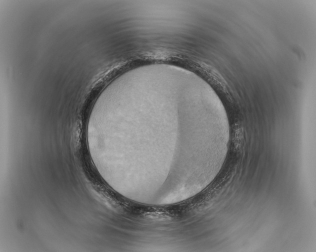 X0000110990544200907171754