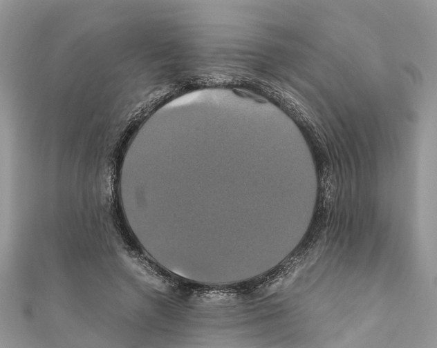 X0000110990546200907171754