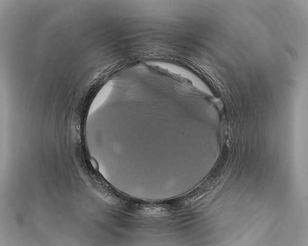 X0000110990547200907171754
