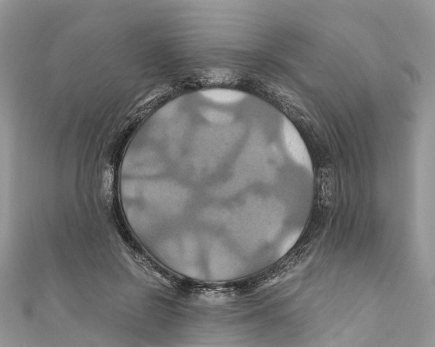 X0000110990550200907171754