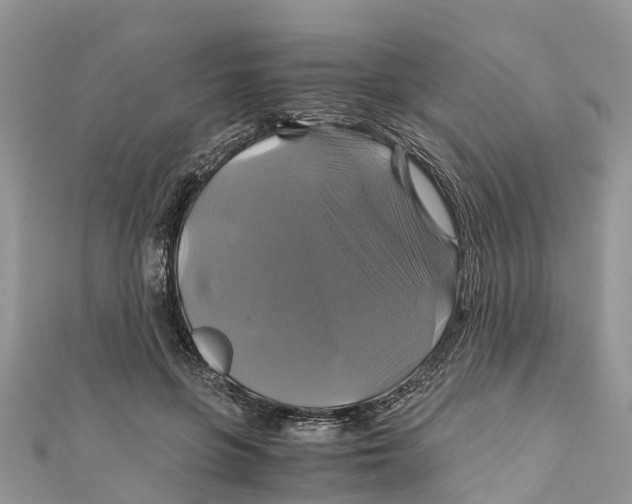 X0000110990551200907171754