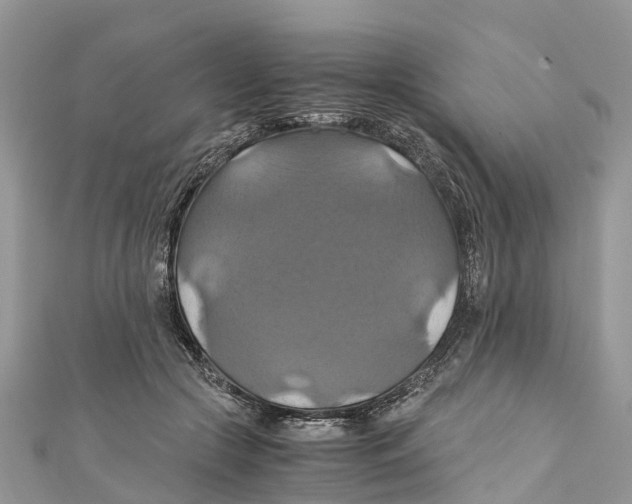 X0000110990553200907171754