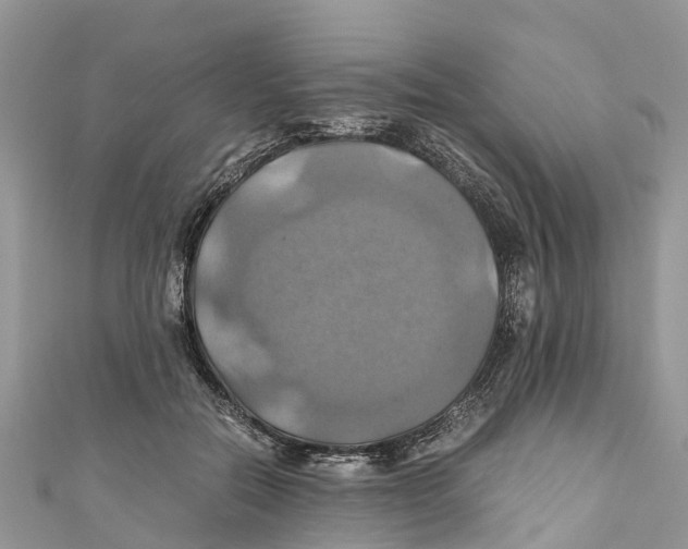 X0000110990554200907171754