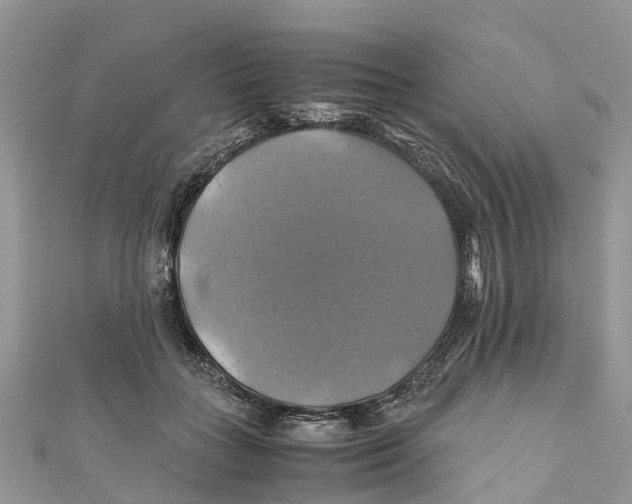 X0000110990555200907171754
