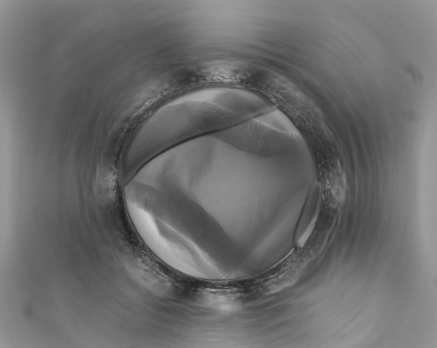 X0000110990556200907171754