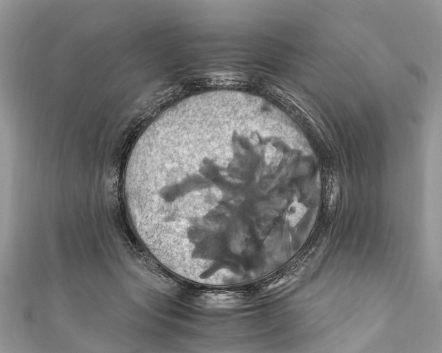 X0000110990557200907171754