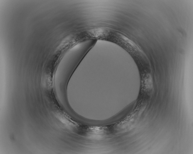 X0000110990558200907171754