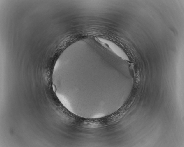 X0000110990559200907171754
