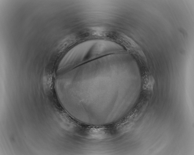 X0000110990560200907171754