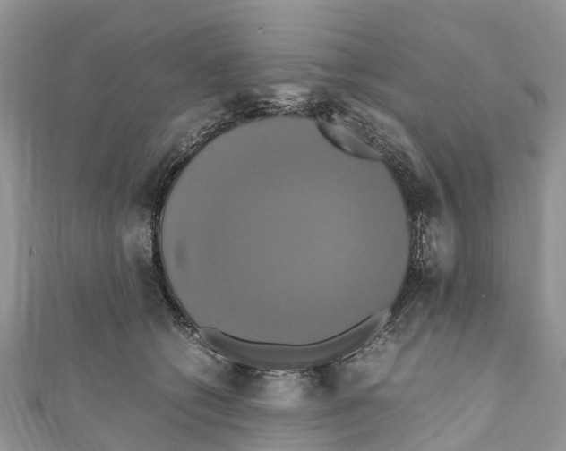 X0000110990562200907171754