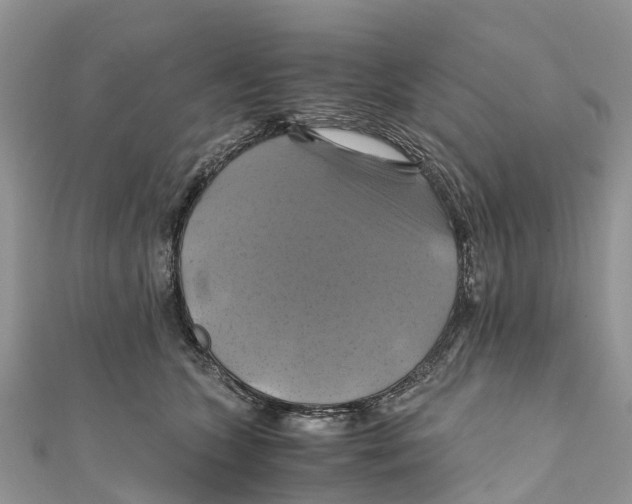 X0000110990563200907171754