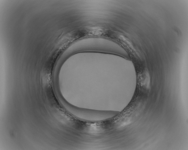 X0000110990564200907171754