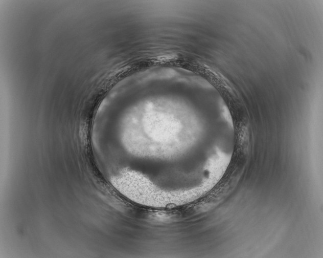 X0000110990565200907171754