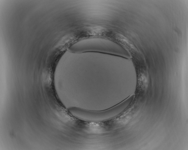 X0000110990566200907171754