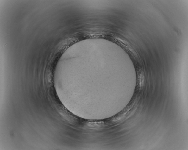 X0000110990571200907171754