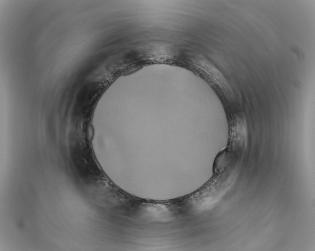 X0000110990572200907171754