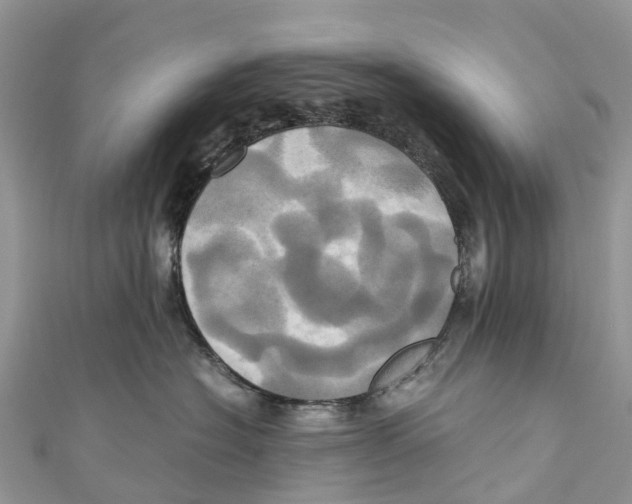 X0000110990574200907171754
