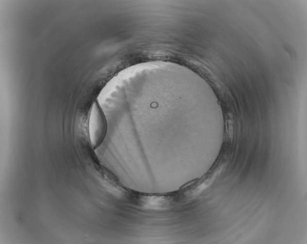 X0000110990575200907171754