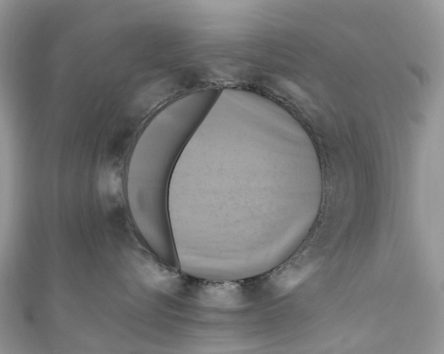 X0000110990576200907171754