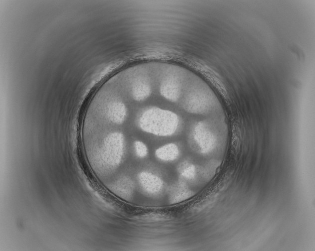 X0000110990578200907171754