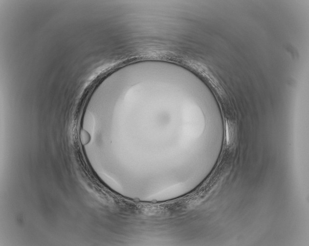 X0000110990579200907171753