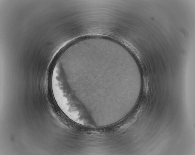 X0000110990580200907171753