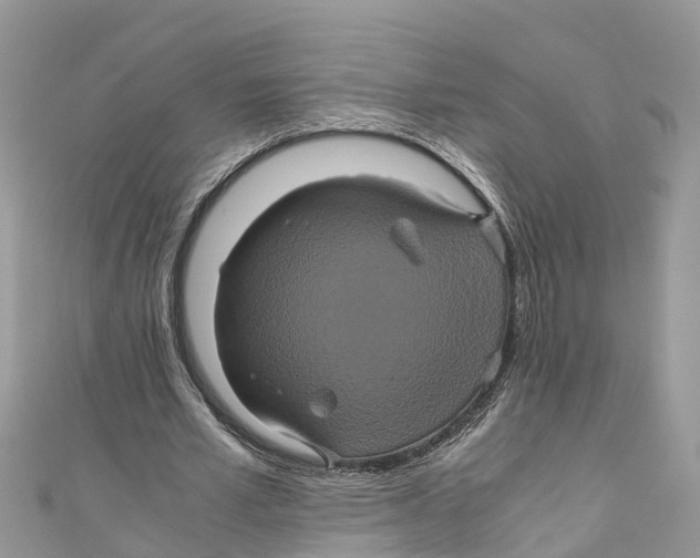 X0000110990581200907171753