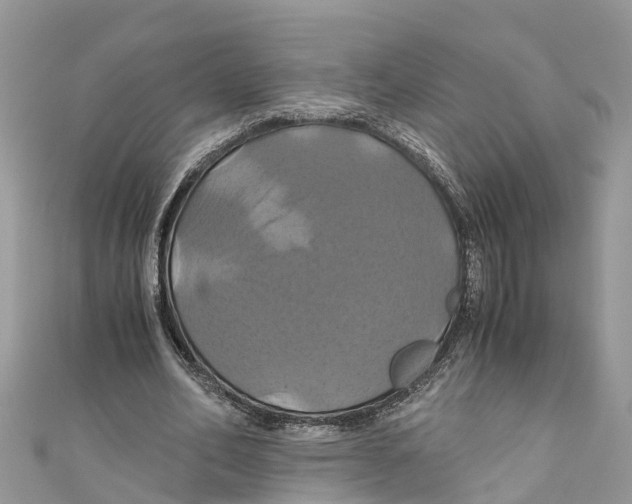 X0000110990582200907171753