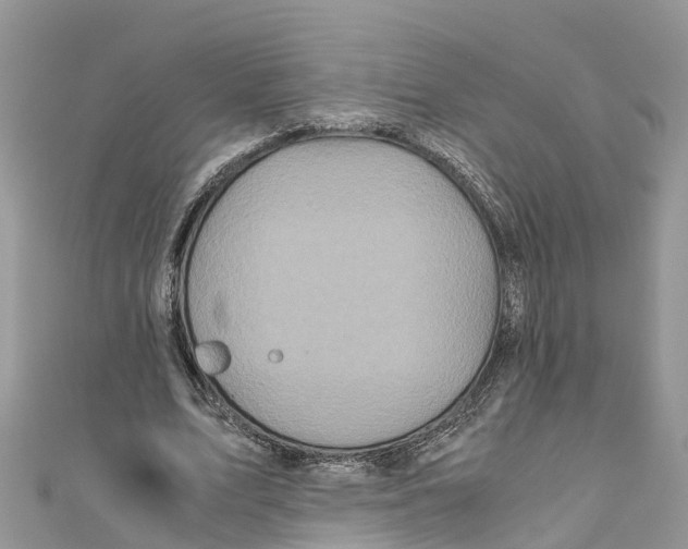 X0000110990583200907171753