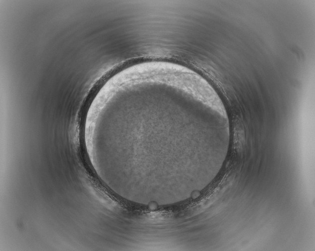 X0000110990584200907171753