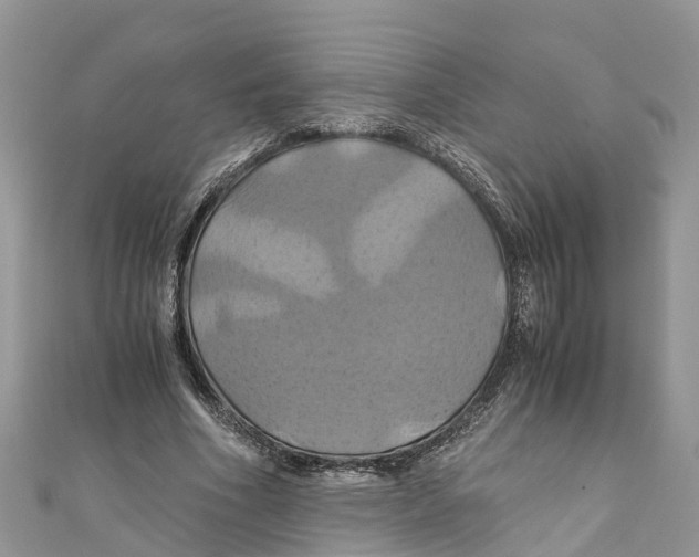 X0000110990586200907171753