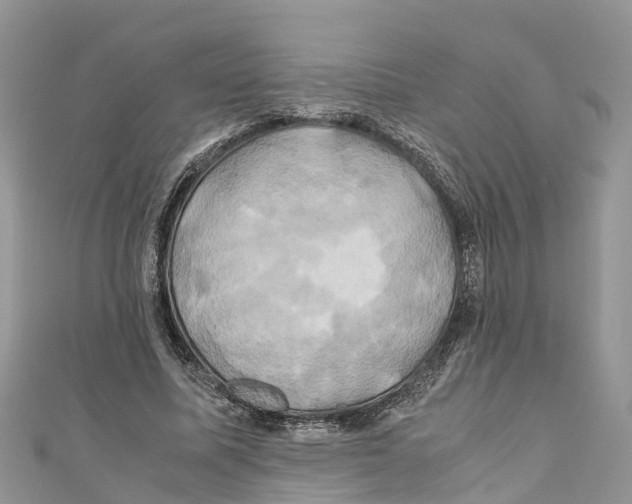 X0000110990587200907171753