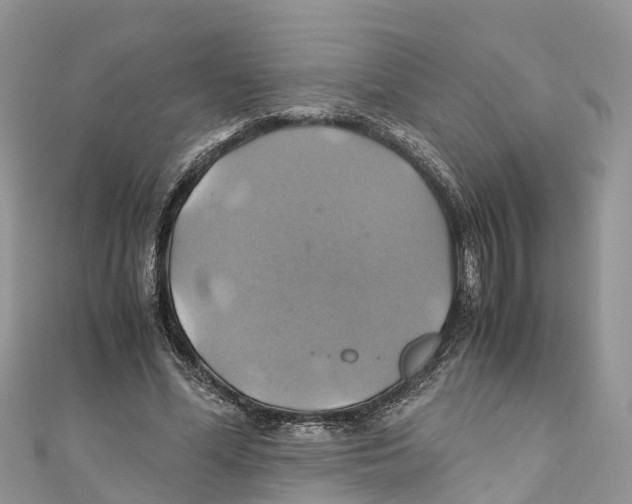 X0000110990588200907171753
