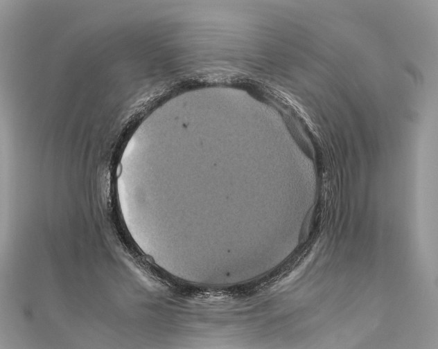 X0000110990589200907171753
