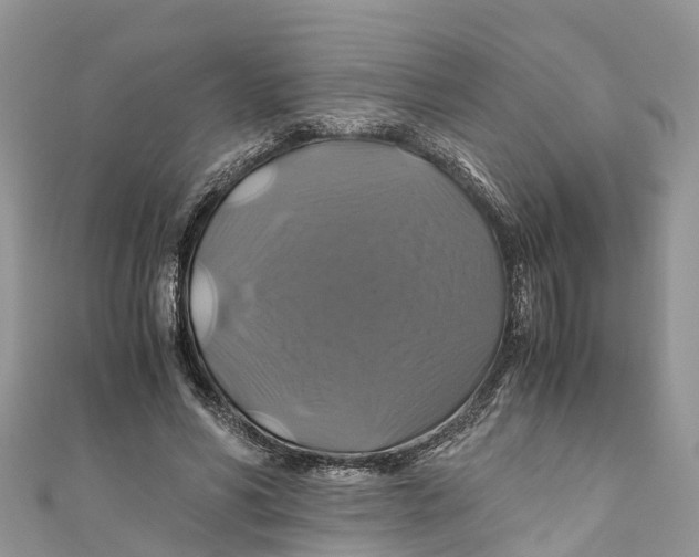 X0000110990590200907171753