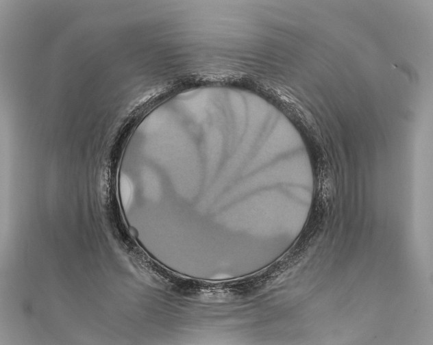 X0000110990591200907171753