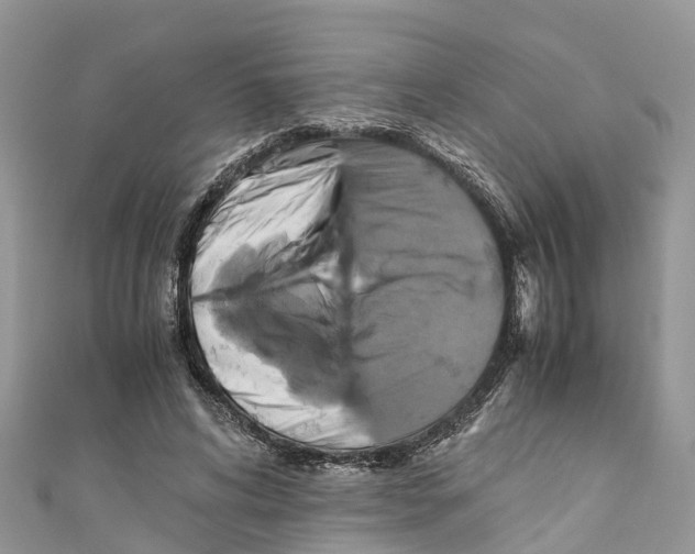 X0000110990592200907171753
