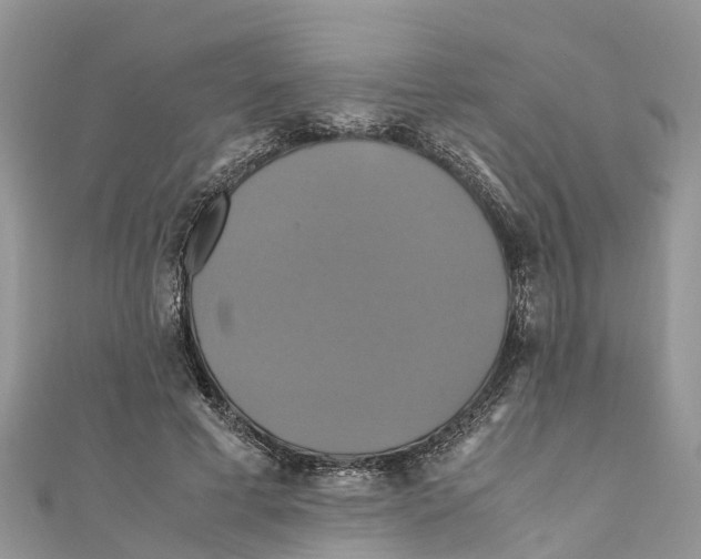 X0000110990593200907171753