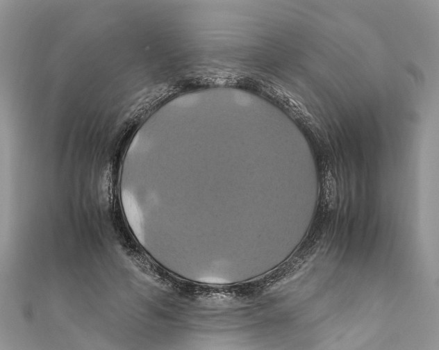 X0000110990594200907171753
