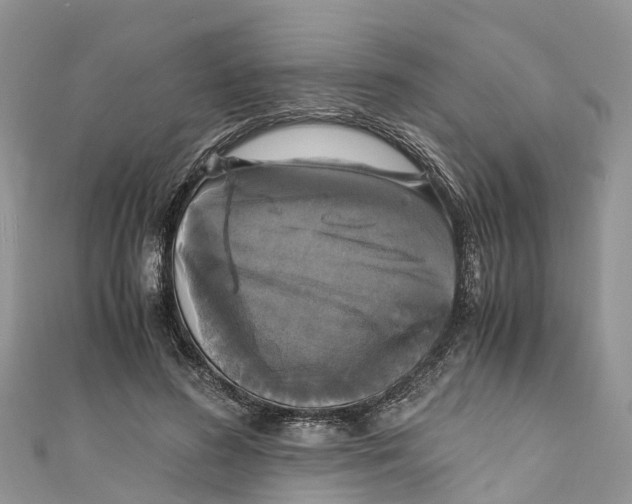 X0000110990596200907171753
