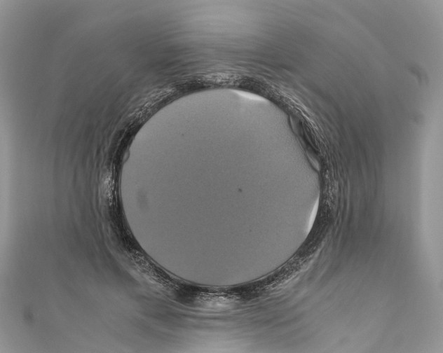 X0000110990597200907171753