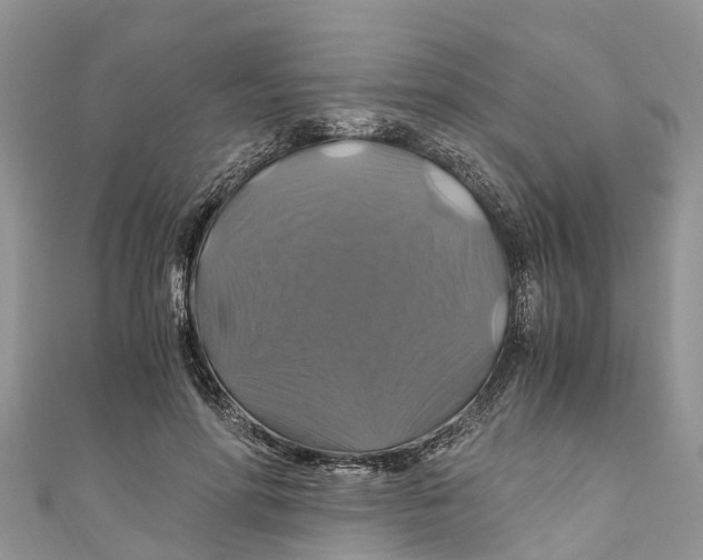 X0000110990598200907171753