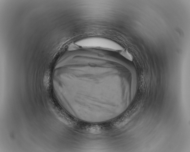 X0000110990600200907171753